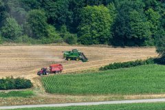 农业品牌培育与市场拓展